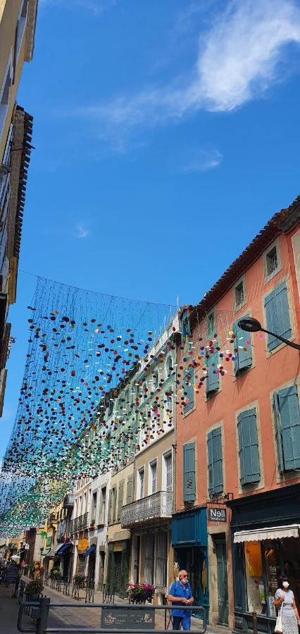 Chez Mamita : Appartement Dans Quartier Calme. Carcassonne Luaran gambar